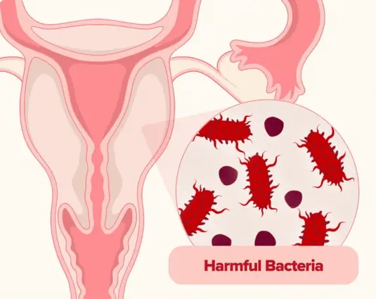 URO probiotico vaginal: Bienestar íntimo con un toque de lujo